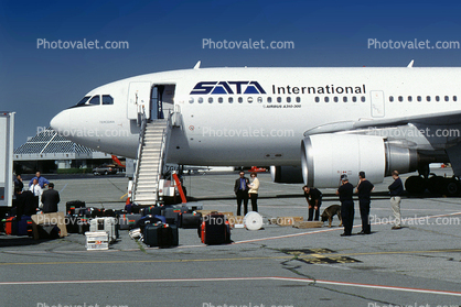 Bomb Scare, Dog sniffing for Bombs, CS-TGU, Airbus A310-304, Azores, Terceira, CF6, CF6-80C2A2