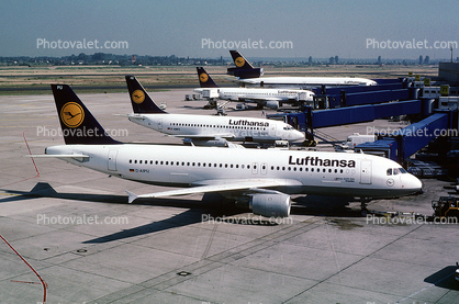 D-AIPU, Lufthansa, Airbus A320-211, CFM56-5A1, CFM56, Dresden