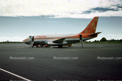 N73711, Boeing 737-297, 737-200 series, Aloha Airlines, Funjet, JT8D-9A, JT8D