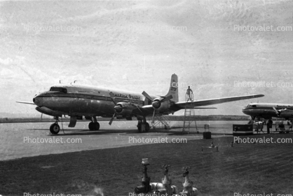 Douglas DC-6, 1950s