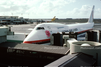 JA8141, Boeing 747-246B, 747-200, series Japan Airlines JAL, 1983, 1980s, JT9D, JT9D-7AW
