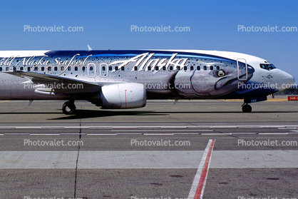 N792AS, Steelhead Trout, Boeing 737-490, Alaska Airlines ASA, 737-400 series