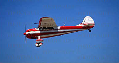 N3482V Cessna 195