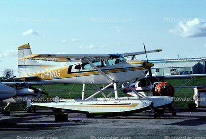C-FWDS, Cessna A185F