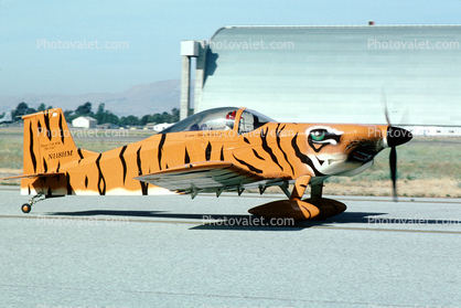 Tiger Stripes, N118HM, Thorp T-18 WM
