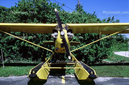Piper Cub, Floatplane head-on