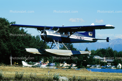 DHC-2 Beaver, N9878R, Regal Air