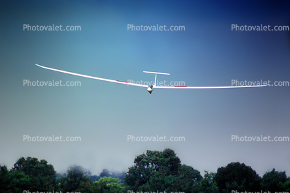 Glider airborne, flying, flight