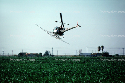 Crop Dusting, Aerial Spraying, Pesticide, Hiller UH-12, Central Valley