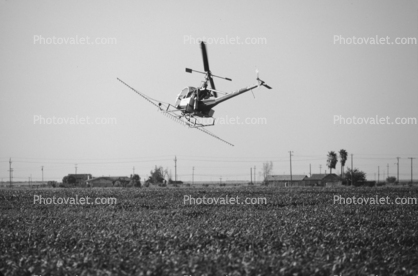 Cropduster, Crop Dusting, Aerial Spraying, Pesticide, Hiller UH-12, Central Valley