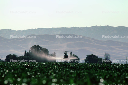 Crop Dusting, Aerial Spraying, Pesticide, Hiller UH-12, Central Valley, sprayer