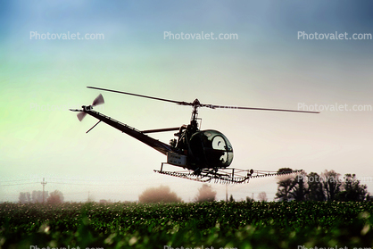 Crop Dusting, Aerial Spraying, Pesticide, Hiller UH-12, Central Valley, Herbicide, Insecticide, sprayer