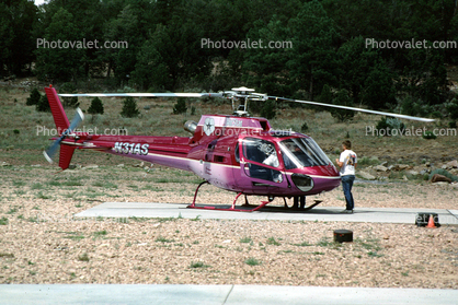 N31AS, Eurocopter AS-350, Ecureuil