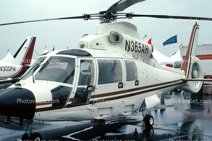 N365AH, Aerospatiale SA-365N Dauphin 2, Eurocopter, Dolphin