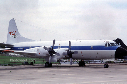 N428NA, Lockheed YP3V-1, (P-3A Orion), NASA, 428, L188A Electra