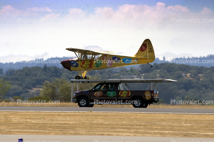 Piper Cub Landing on a Pickup Truck, Runway, Wingwalker