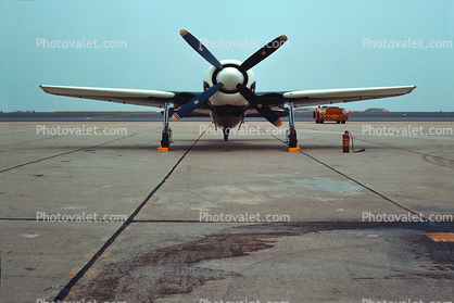 HEAD-on Grumman, F8F Bearcat Race plane
