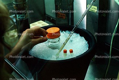 Lab Technician, Ice, Bucket, samples