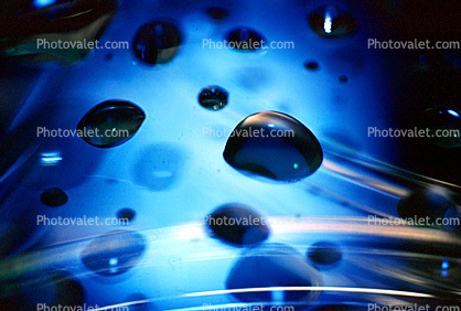 Petri Dish, Culture, Bacteria, Laboratory, Lab, Room, equipment