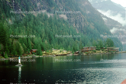 Princess Louisa Inlet, Vancouver Island, British Columbia, Canada, Forest