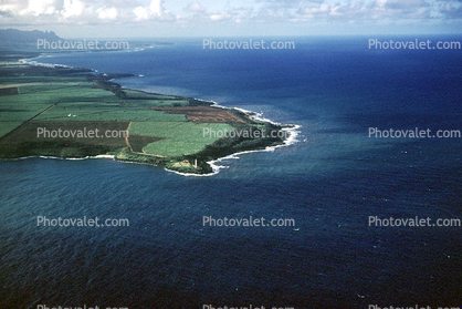 Shoreline of Hawaii