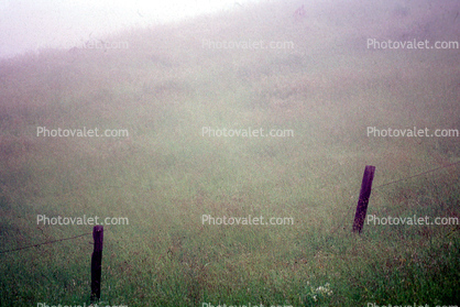 Barbed Wire Fince, Posts, Fog, Field