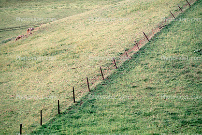 Fence, Field, Texture