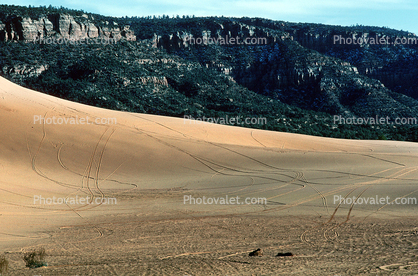 Sand Dunes, Tiretracks