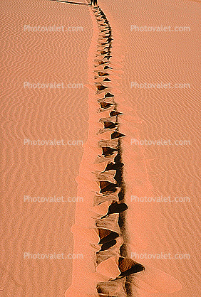 Tiretracks, Sand Dunes, Oregon Coast