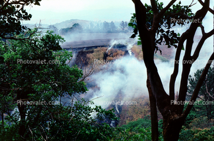 Rainforest Destruction, Costa Rica, Smoke, Slash and Burn, jungle, deforestation