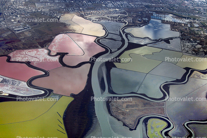 Coyote Creek, Mud Slough, Mowery Slough, Alviso Slough, Guadalupe Slough, salt ponds