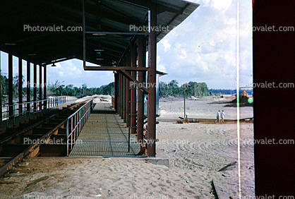 Receivng Hopper, Lanjut, Malaysia, 1950s