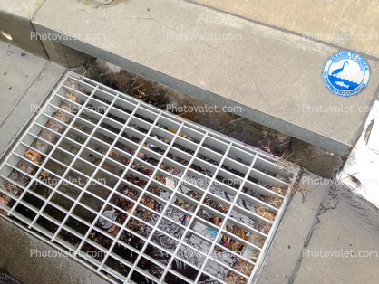 Water Drainage Grill, Contamination, Storm Drain
