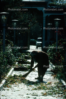 Woman Sweeping Leaves