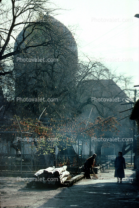 Woman Sweeping Leaves