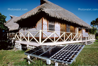 Photovoltaic Solar Cells, Thatched Roof House, home, dwelling unit, porch, Sod