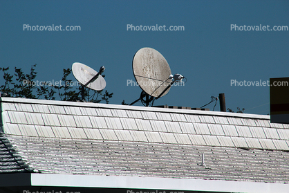 Dirty Dish and a roof