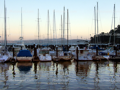 Tiburon Harbor, Docks, Boats