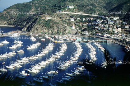 Harbor, Dock, Boats, Hills, Avalon