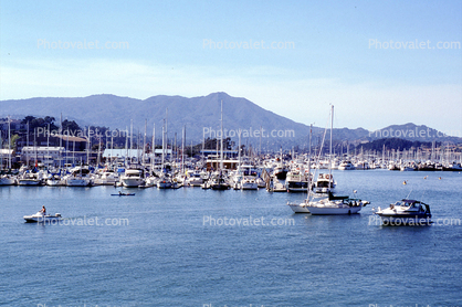 Sausalito Harbor, docks, boats