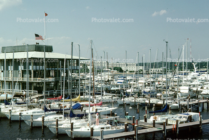 Crowded Docks, Yacht Basin Marina, Annapolis, Maryland