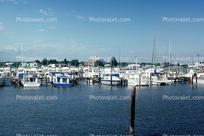 Crowded Docks, Castle Marina, Kent Island, Maryland