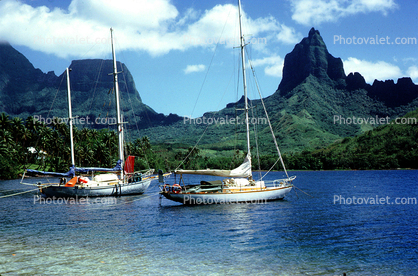 Harbor, Moorea Island, Tahiti