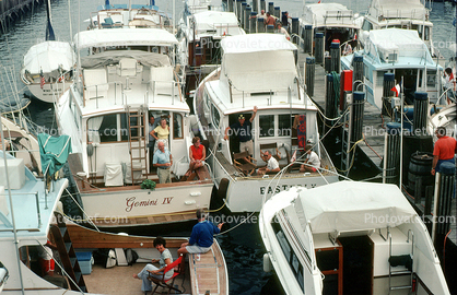 Crowded Dock, Powerboats