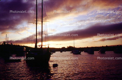 Galapagos Islands, Harbor, Sunset, Dusk