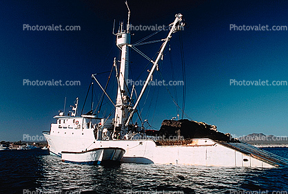 Tuna Fishing Boat