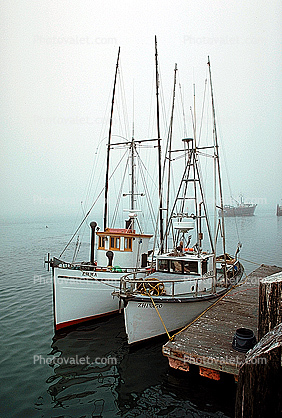 Bodega Bay Harbor, Sonoma County, Harbor