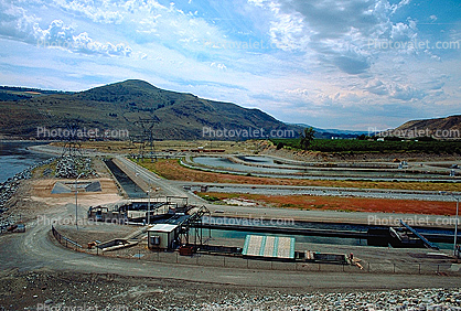 salmon spawing, Bonneville Dam, Oregon