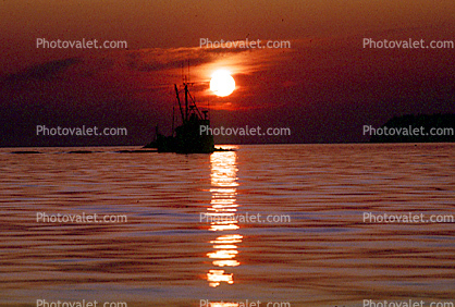 Fishing Boat, Boundary Bay, Blaine