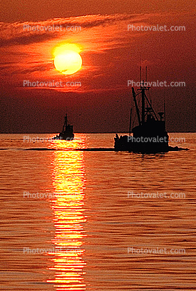 Fishing Boat, Boundary Bay, Blaine